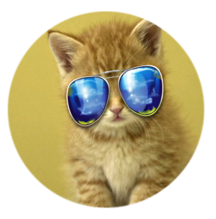 Mobilhllare Pop-Stand "Cool Kitten" ( Popsockets-alternativ )